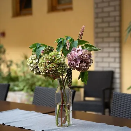 فندق مبيت وإفطار Atrium Agard Panzio
