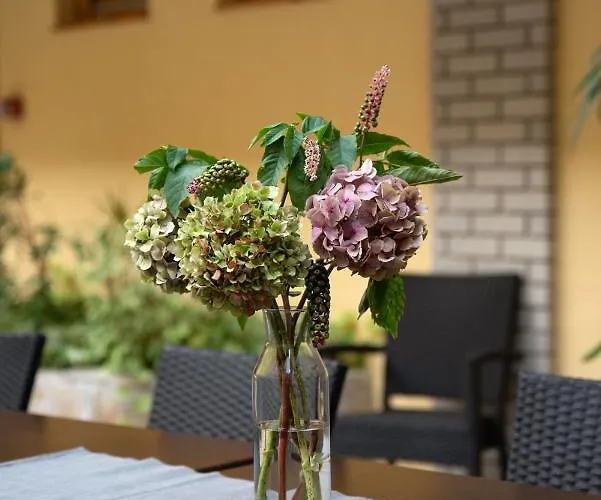 Bed and breakfast Atrium Agard Panzio